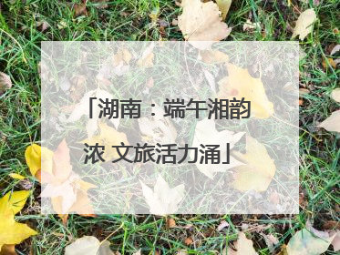 湖南：端午湘韵浓 文旅活力涌