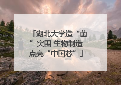 湖北大学造“菌”突围 生物制造点亮“中国芯”