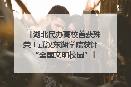 湖北民办高校首获殊荣！武汉东湖学院获评“全国文明校园”