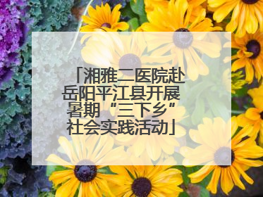 湘雅二医院赴岳阳平江县开展暑期“三下乡”社会实践活动