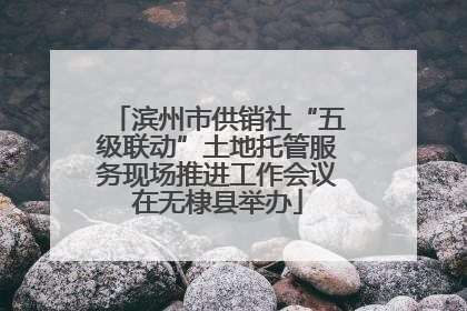 滨州市供销社“五级联动”土地托管服务现场推进工作会议在无棣县举办