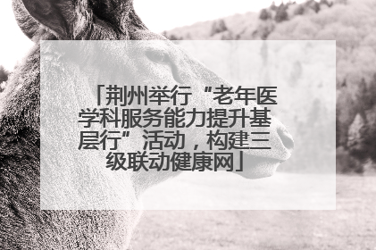 荆州举行“老年医学科服务能力提升基层行”活动，构建三级联动健康网