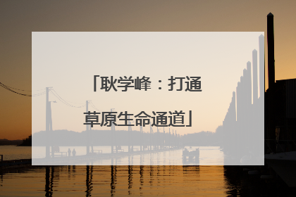 耿学峰：打通草原生命通道