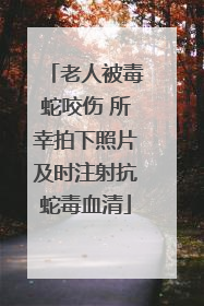 老人被毒蛇咬伤 所幸拍下照片及时注射抗蛇毒血清