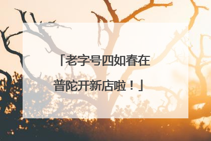 老字号四如春在普陀开新店啦！