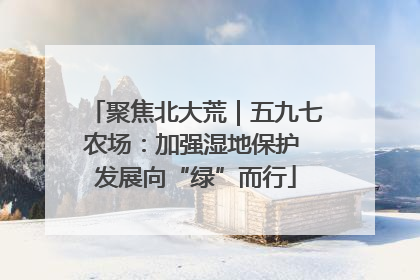 聚焦北大荒｜五九七农场：加强湿地保护 发展向“绿”而行