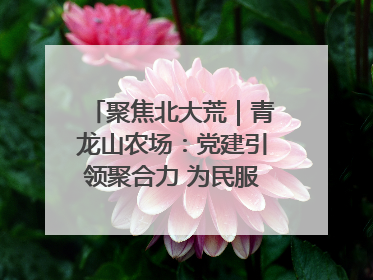 聚焦北大荒｜青龙山农场：党建引领聚合力 为民服务践初心
