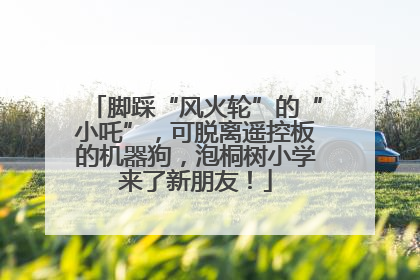 脚踩“风火轮”的“小吒”，可脱离遥控板的机器狗，泡桐树小学来了新朋友！