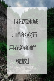 花语冰城：哈尔滨五月花海绚烂绽放