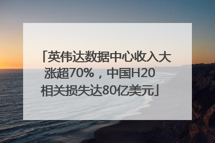 英伟达数据中心收入大涨超70%，中国H20相关损失达80亿美元