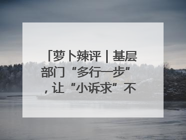 萝卜辣评｜基层部门“多行一步”，让“小诉求”不缺席法治守护