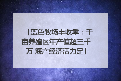 蓝色牧场丰收季：千亩养殖区年产值超三千万 海产经济活力足