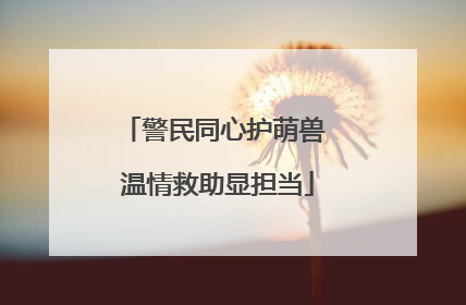 警民同心护萌兽 温情救助显担当