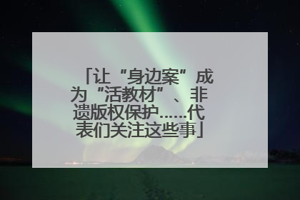 让“身边案”成为“活教材”、非遗版权保护……代表们关注这些事