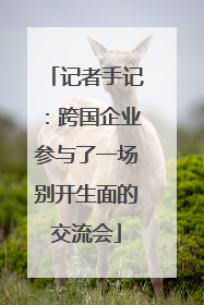 记者手记：跨国企业参与了一场别开生面的交流会