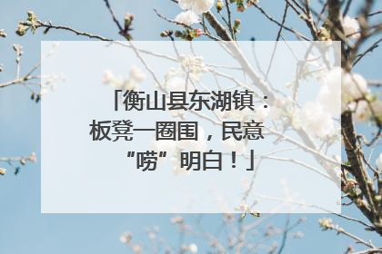 衡山县东湖镇：板凳一圈围，民意“唠”明白！