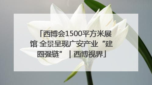 西博会1500平方米展馆 全景呈现广安产业“建圈强链”｜西博视界