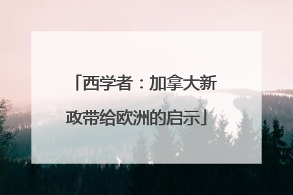 西学者：加拿大新政带给欧洲的启示