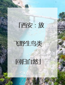 西安：放飞野生鸟类回归自然