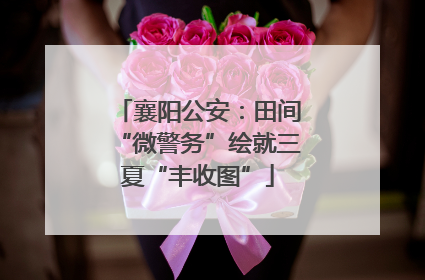 襄阳公安：田间“微警务”绘就三夏“丰收图”