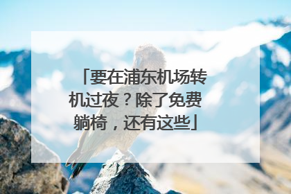要在浦东机场转机过夜？除了免费躺椅，还有这些