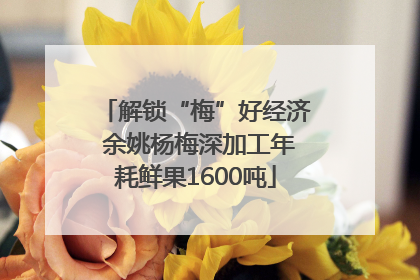 解锁“梅”好经济 余姚杨梅深加工年耗鲜果1600吨