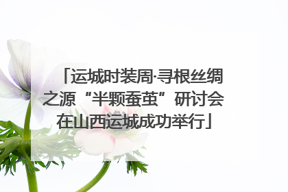 运城时装周·寻根丝绸之源“半颗蚕茧”研讨会在山西运城成功举行