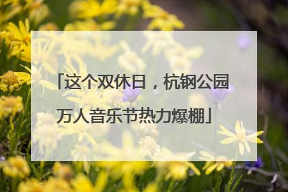 这个双休日，杭钢公园万人音乐节热力爆棚