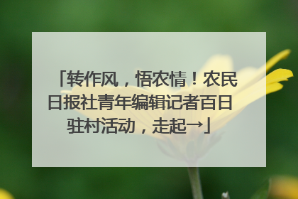 转作风，悟农情！农民日报社青年编辑记者百日驻村活动，走起→