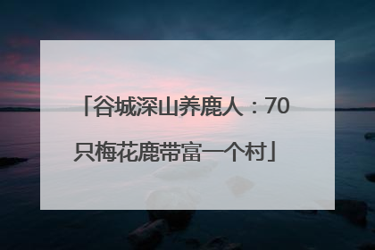 谷城深山养鹿人：70只梅花鹿带富一个村