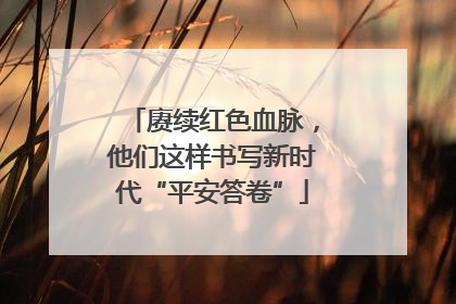 赓续红色血脉，他们这样书写新时代“平安答卷”