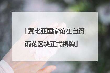 赞比亚国家馆在自贸雨花区块正式揭牌