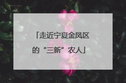 走近宁夏金凤区的“三新”农人