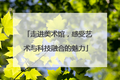 走进美术馆，感受艺术与科技融合的魅力