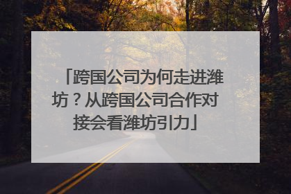 跨国公司为何走进潍坊？从跨国公司合作对接会看潍坊引力