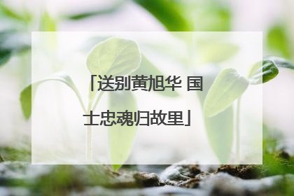 送别黄旭华 国士忠魂归故里