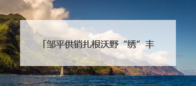 邹平供销扎根沃野“绣”丰年 服务一线“织”富路