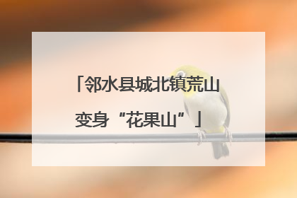 邻水县城北镇荒山变身“花果山”