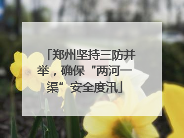 郑州坚持三防并举，确保“两河一渠”安全度汛