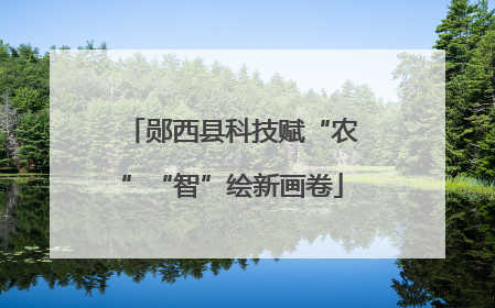 郧西县科技赋“农”“智”绘新画卷