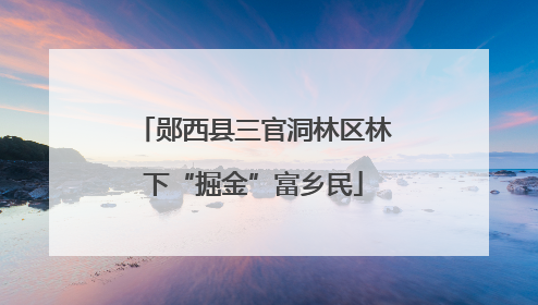 郧西县三官洞林区林下“掘金”富乡民