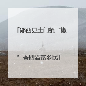 郧西县土门镇“椒”香四溢富乡民