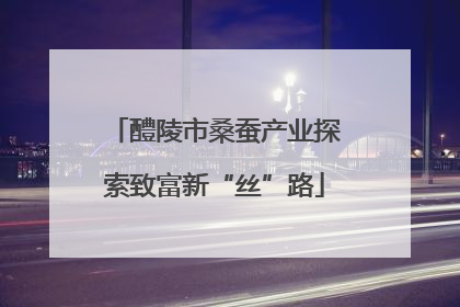 醴陵市桑蚕产业探索致富新“丝”路