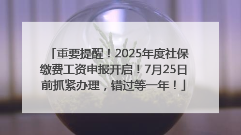 重要提醒！2025年度社保缴费工资申报开启！7月25日前抓紧办理，错过等一年！