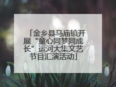 金乡县马庙镇开展“童心同梦同成长”运河大集文艺节目汇演活动