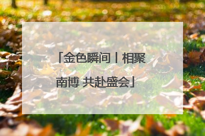 金色瞬间丨相聚南博 共赴盛会