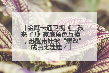 金鹰卡通卫视《三孩来了3》家庭角色互换，苏醒带娃被“爆改”成芭比娃娃？