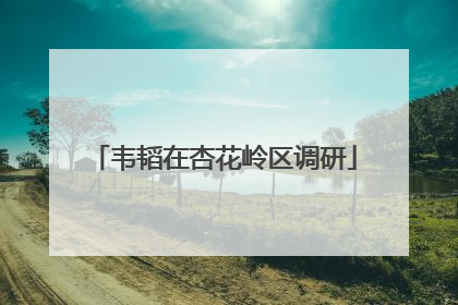 韦韬在杏花岭区调研