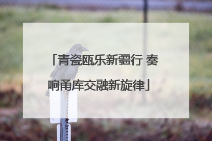 青瓷瓯乐新疆行 奏响甬库交融新旋律