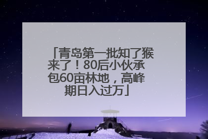 青岛第一批知了猴来了！80后小伙承包60亩林地，高峰期日入过万